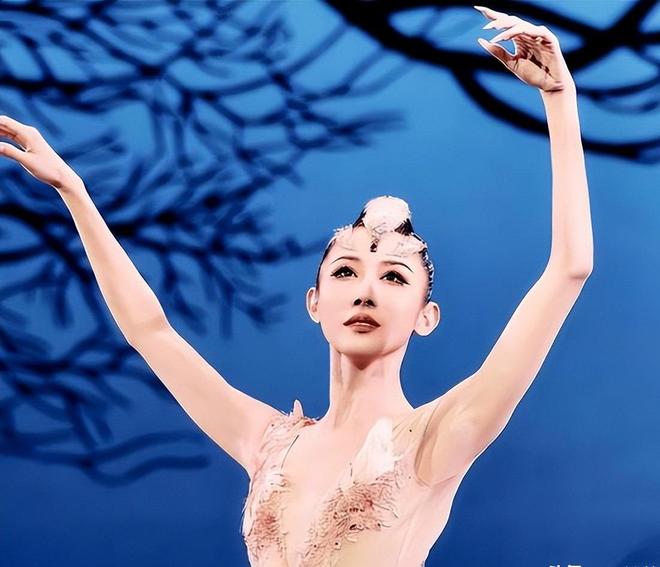 小鲸工作室 头像