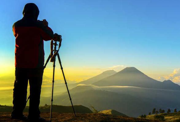 向阳影像社 头像